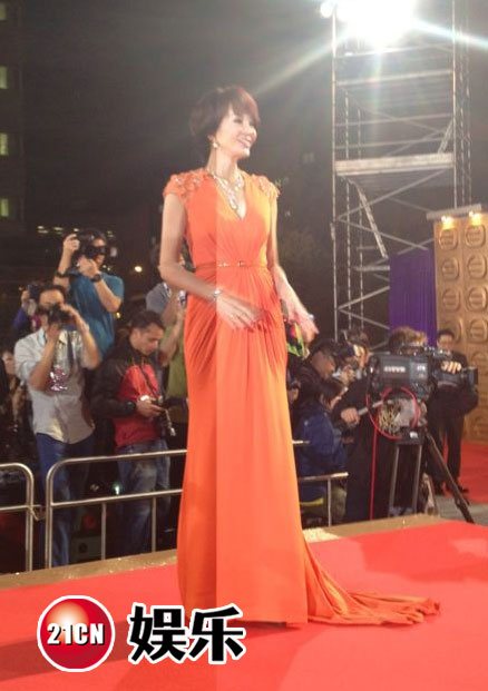 第45届TVB台庆红毯群星璀璨
