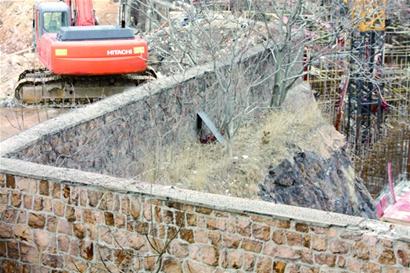 人造悬崖困住“恋家”小狗 人造悬崖困住“恋家”小狗