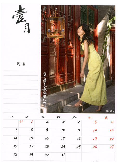 林志玲2013年慈善月历