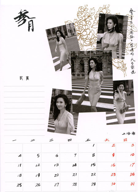 林志玲2013年慈善月历