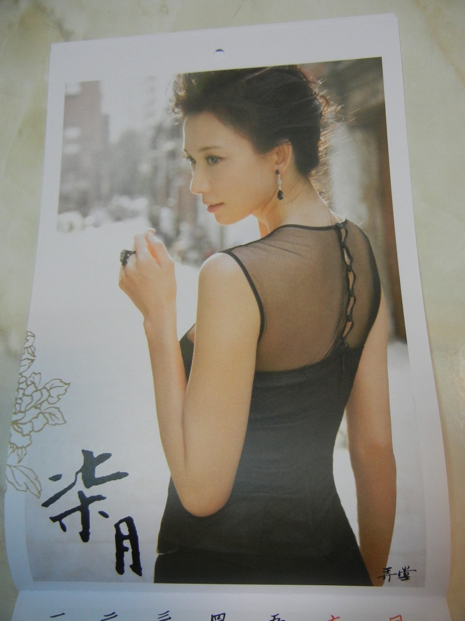 林志玲2013年慈善月历