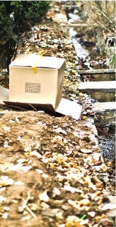 水沟发现死婴 全身赤裸身份不明