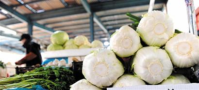 气温下降白菜涨价一倍 气温下降白菜涨价一倍