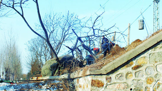 越野车抄近路穿越铁路与动车相撞 越野车抄近路穿越铁路与动车相撞