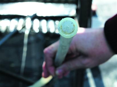 天气一副“冷面孔”热水器却很“冻芯” 天气一副“冷面孔”热水器却很“冻芯”