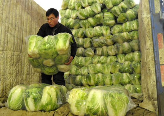 青岛气温下降菜价飙升 部分蔬菜价格涨三成