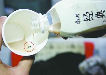 康师傅经典奶茶被曝喝出死苍蝇 售后拒绝道歉