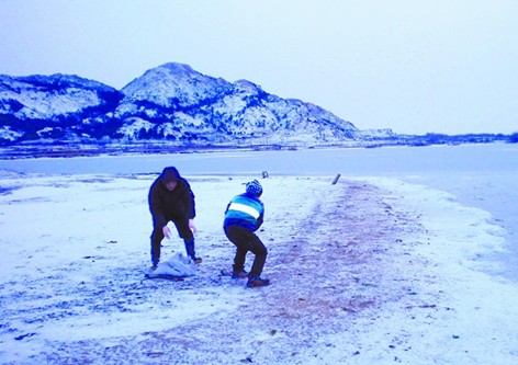 平度水库惊现白天鹅 雪天有专人喂食