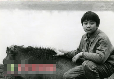 孙俪邓超秀恩爱破婚变传言