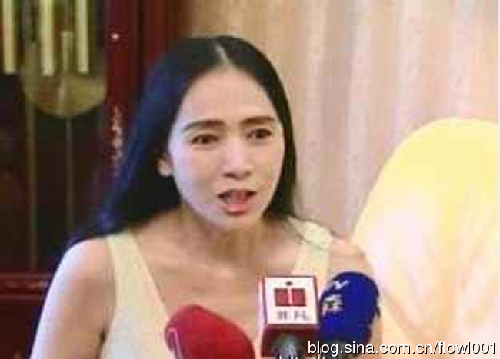 疑似玩婚外恋导致婚姻破裂的10大女星