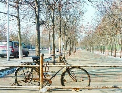 学校发出'限骑令' 有人称安全有人嫌简单粗暴