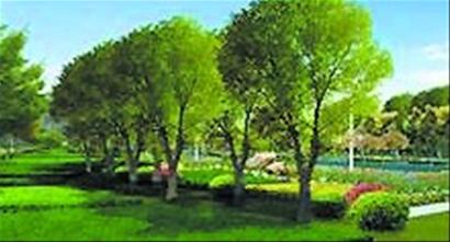 森林青岛绘出全新框架