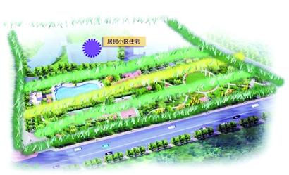 森林青岛绘出全新框架