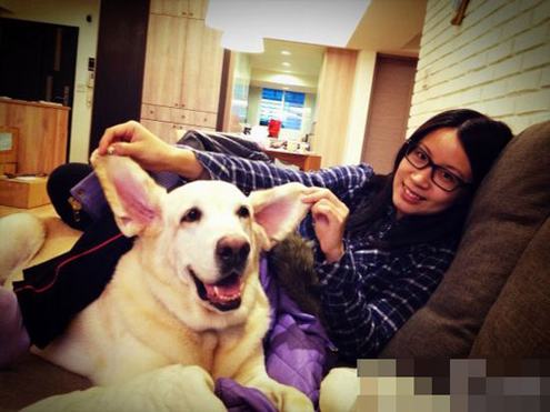 九把刀小女友私家照 恶搞陈妍希激吻柯震东旧照一同曝光