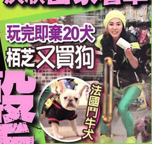 明星与亲人关系揭秘