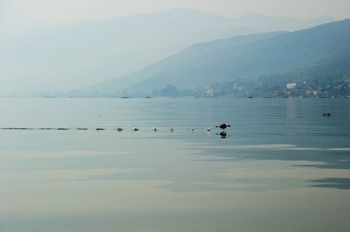 中国适宜买房的十个地方