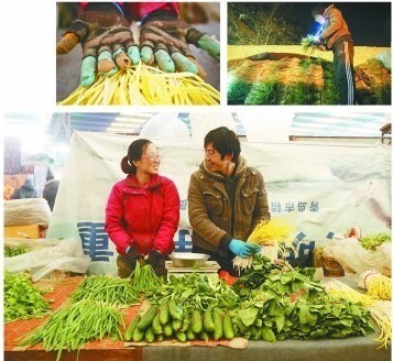 大学毕业电信工作 小夫妻不当经理爱卖菜 大学毕业电信工作 小夫妻不当经理爱卖菜