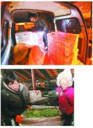 大学毕业电信工作 小夫妻不当经理爱卖菜 大学毕业电信工作 小夫妻不当经理爱卖菜