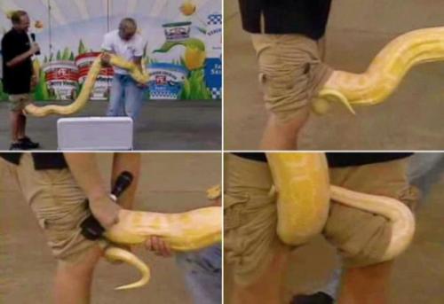 全球电视节目直播出的失控画面！