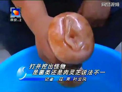 全球电视节目直播出的失控画面！