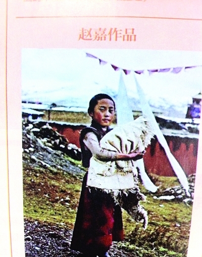 柴静老公身份曝光