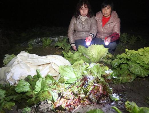 湖南发生校园惨案 校长护学生被砍死