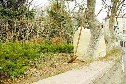 狠心父母将婴儿弃花坛 仅裹床单疑被活活冻死