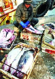 大头腥价格大降每斤仅5元 大头腥价格大降每斤仅5元