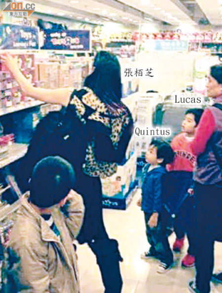 张柏芝挑选玩具时，Lucas与Quintus凝视着