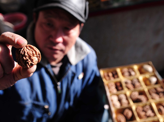 文玩核桃叫价上万元 成收藏新宠