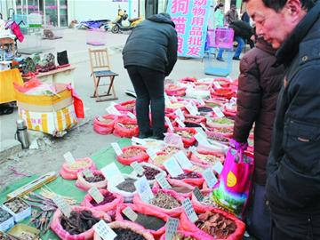 10年老参不如萝卜神奇灵芝难敌蘑菇