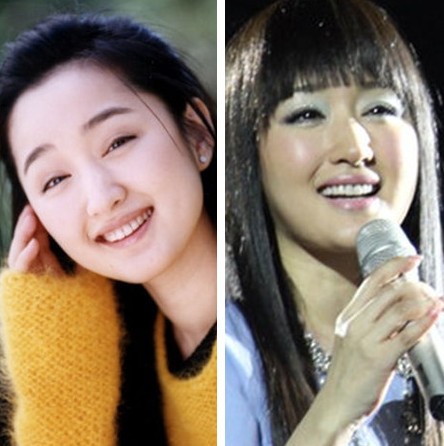 90年代内地红歌星今昔照片对比