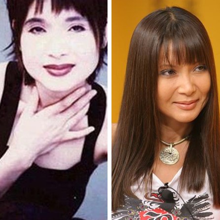 90年代内地红歌星今昔照片对比