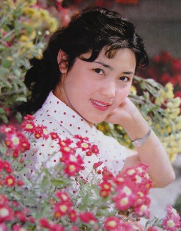 央视春晚20大花旦