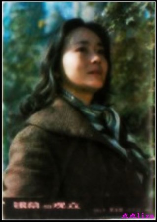 央视春晚20大花旦