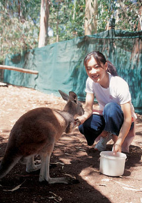 那些联姻高官的体坛明星