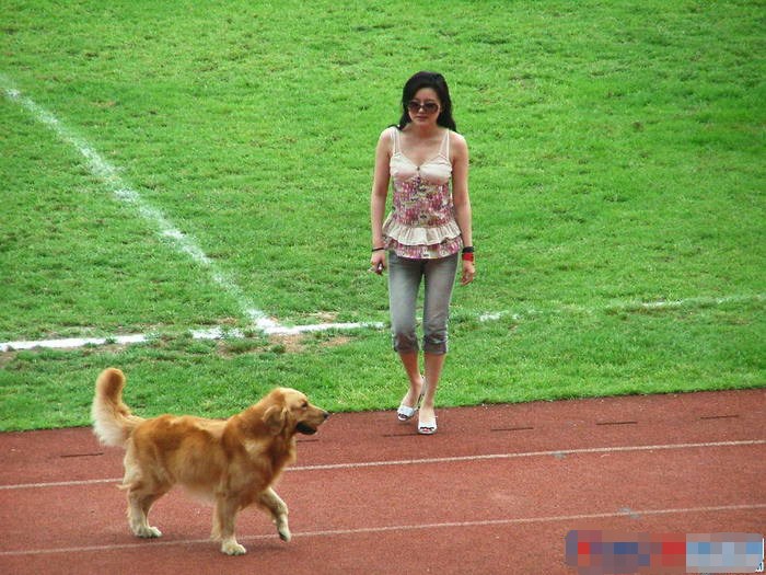 那些联姻高官的体坛明星