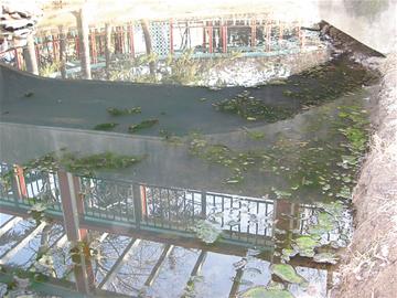 环保部门：“不在监管范围内”