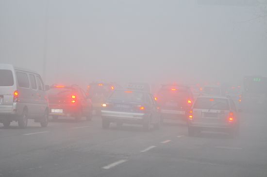 首发:今年最严重大雾锁岛城 高速全封闭