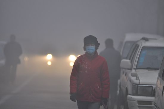 首发:今年最严重大雾锁岛城 高速全封闭