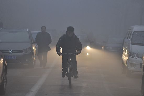 首发:今年最严重大雾锁岛城 高速全封闭 首发:今年最严重大雾锁岛城 高速全封闭