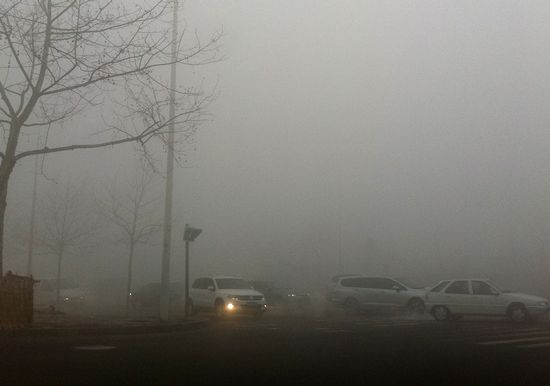首发:今年最严重大雾锁岛城 高速全封闭