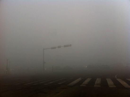 首发:今年最严重大雾锁岛城 高速全封闭