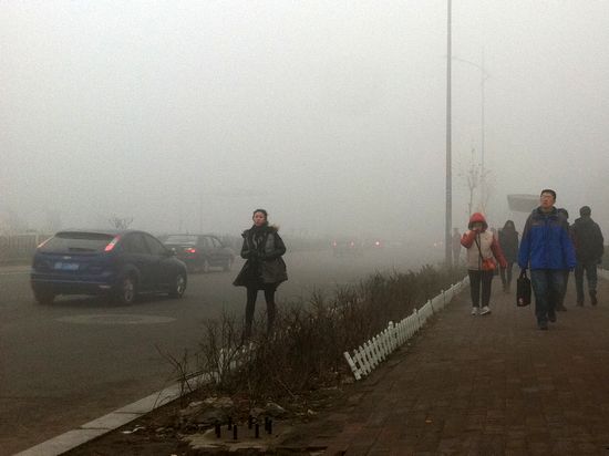 首发:今年最严重大雾锁岛城 高速全封闭