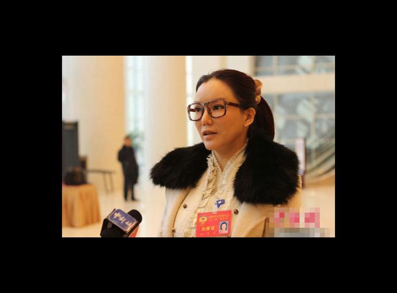 盘点脱衣从政的各国色情明星