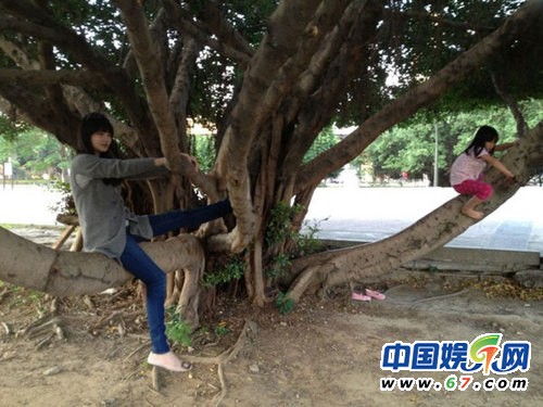 大S孕味十足紧贴老公逛街