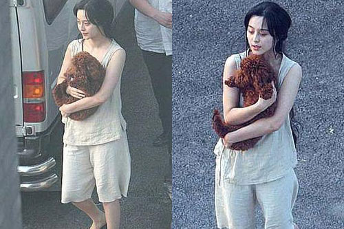 女星为搏版面抢镜啥都敢穿啊