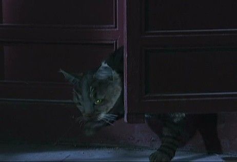 《甄嬛传》经典穿帮镜头遭吐槽 孙俪蒋欣后宫嫔妃玩穿越