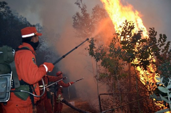 云南大理山火已连烧30小时 油库安全告急