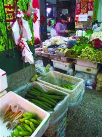 黄瓜价格直逼猪肉12元/斤 市民惊讶菜贩淡定